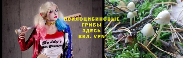 прущие крисы Арсеньев
