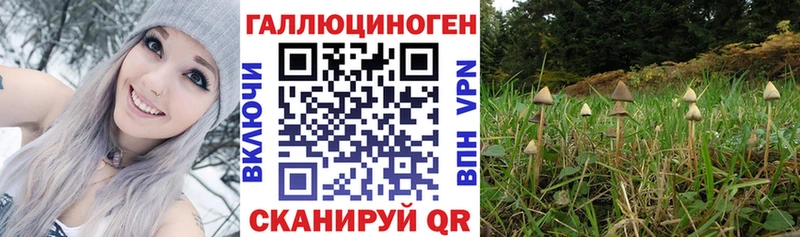 как найти закладки  Верхняя Салда  Галлюциногенные грибы мицелий 