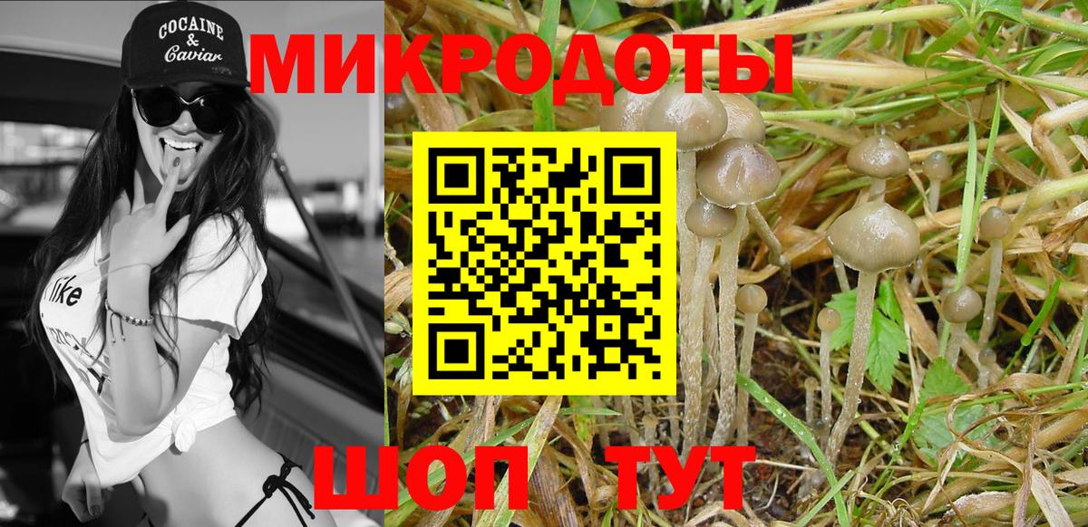 Псилоцибиновые грибы Cubensis  Вход с VPN  Галлюциногенные грибы Psilocybine cubensis  Верхняя Салда 